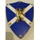 BRAVEHEART MINI SHIELD